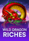 Wild Dragon Riches