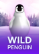 Wild Penguin