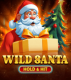Wild Santa – Hold & Hit