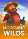 Moooving Wilds