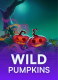Wild Pumpkins