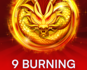 9 Burning Dragons