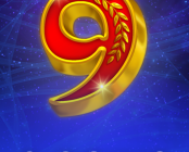 9 Coins