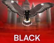 Black Hawk