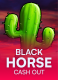 Black Horse Cash Out