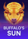 Buffalo’s Sun