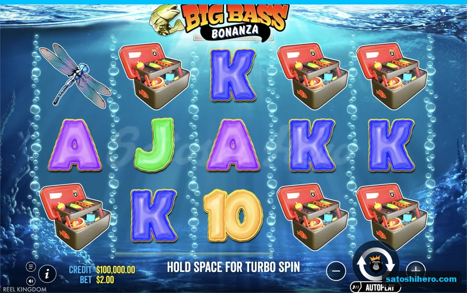 Base grid rests with tackle and royals