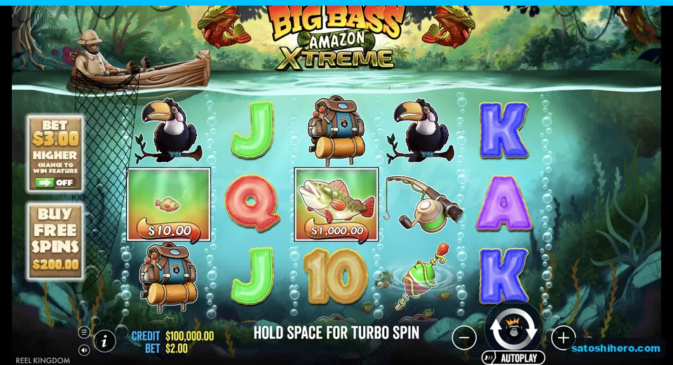 Base board rests with toucans, backpacks and card ranks
