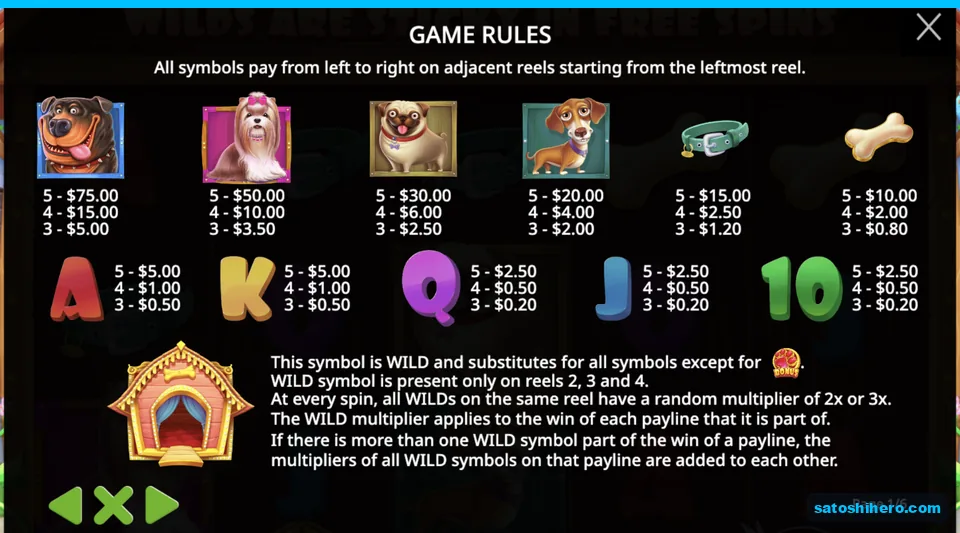 Paytable opens with symbol values and wild rules