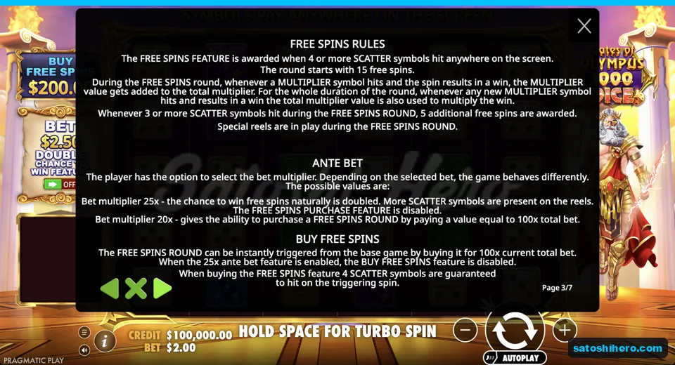 Free Spins rules page explains round