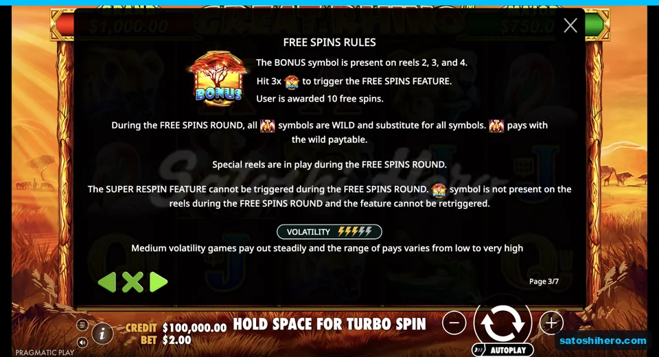 Free Spins rules show ten awarded spins