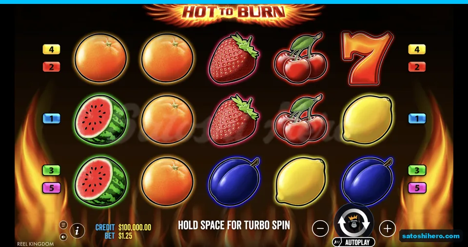 Settled fruit grid over flame backdrop