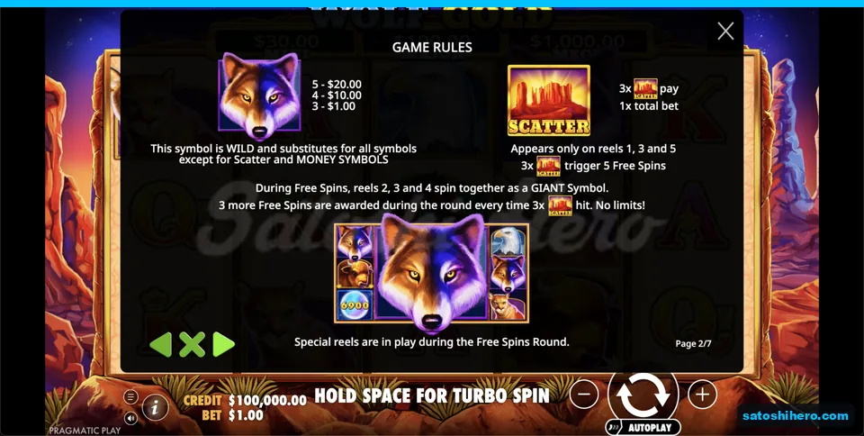 Wild and scatter info page explains payouts