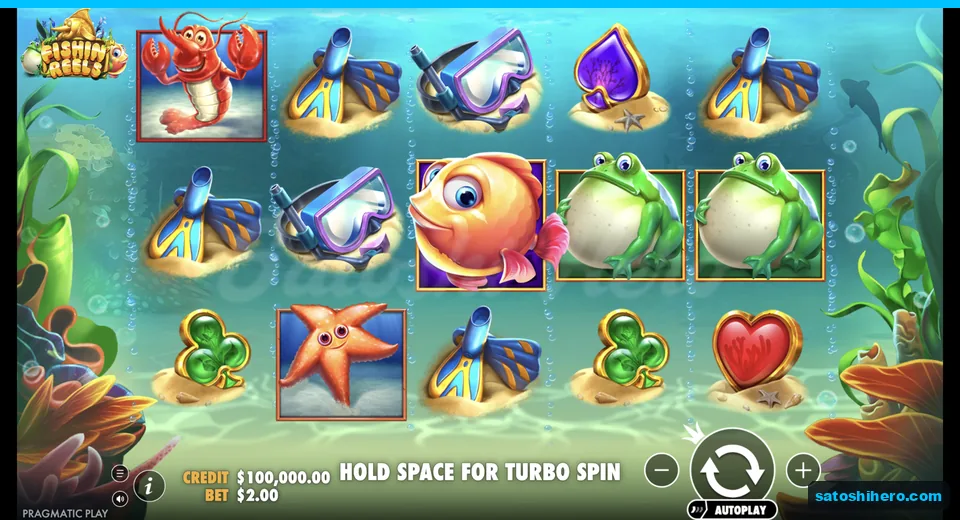 Settled reels under a sunlit ocean backdrop