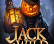Jack O'Wild