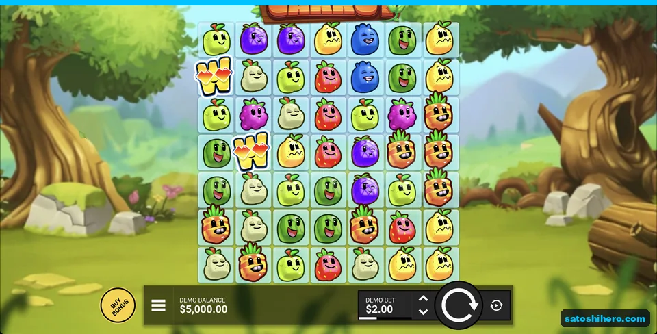 Fruit grid rests in a sunny forest