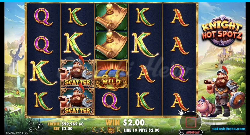 Line nineteen pays two dollars with chest wild