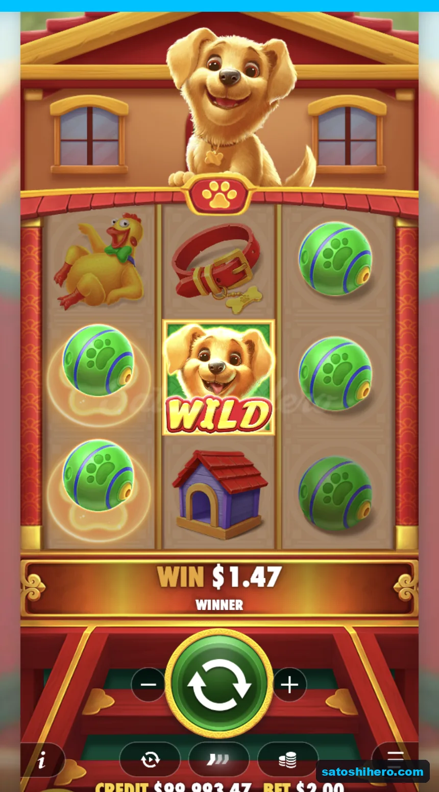 Line win resolves with wild and tennis balls
