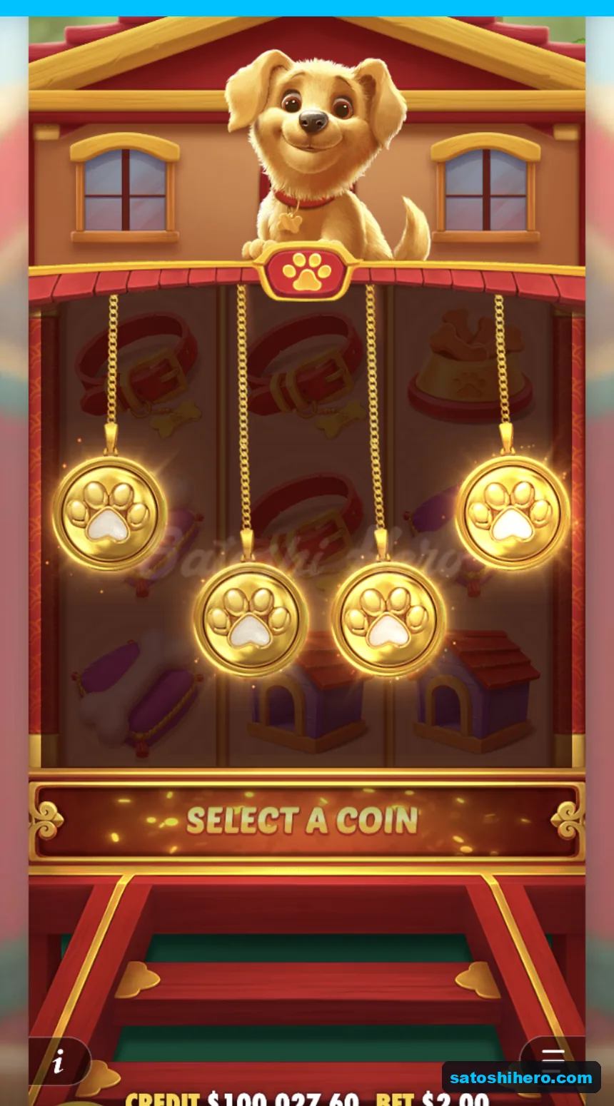 Select a coin prompt shows glowing paw prints