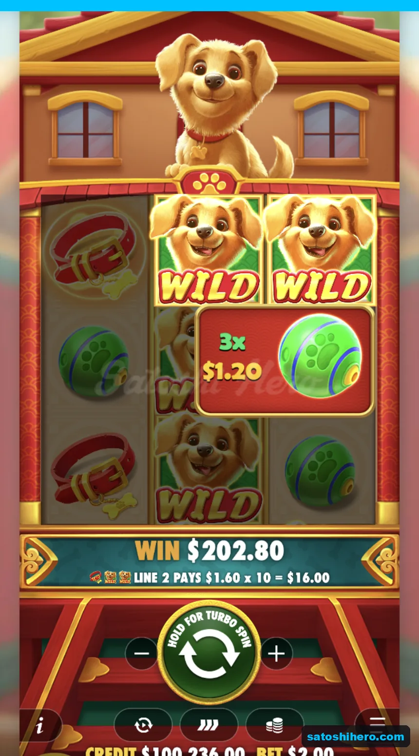 Wild reels settle with a $202.80 win