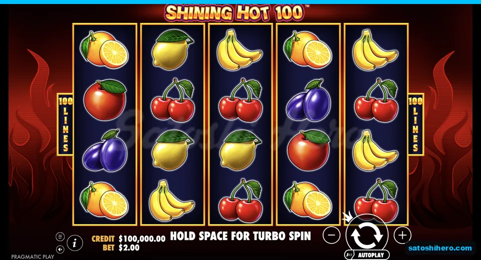Base grid rests with fruit symbols