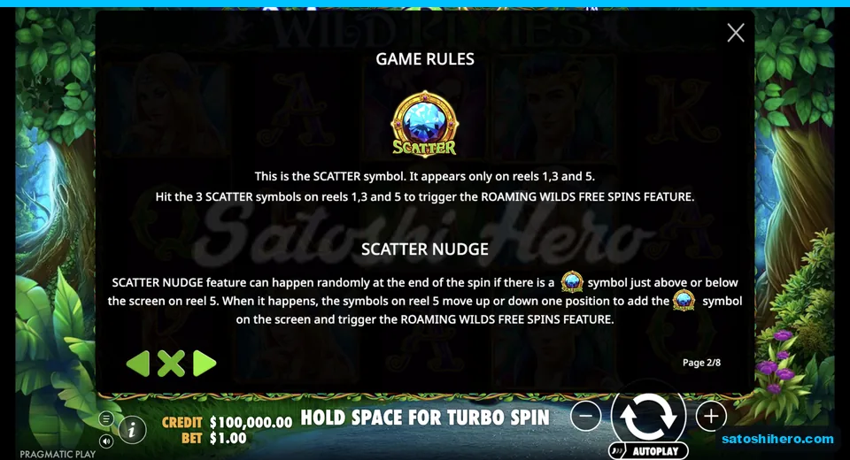 Features page shows Wild and Scatter symbols