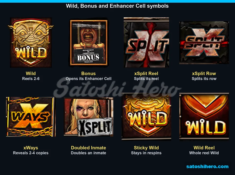 Wild Bonus and Enhancer Cell symbols listed