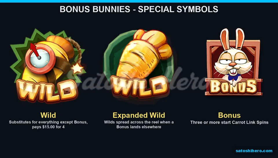 Wild and Bonus symbols shown on paytable