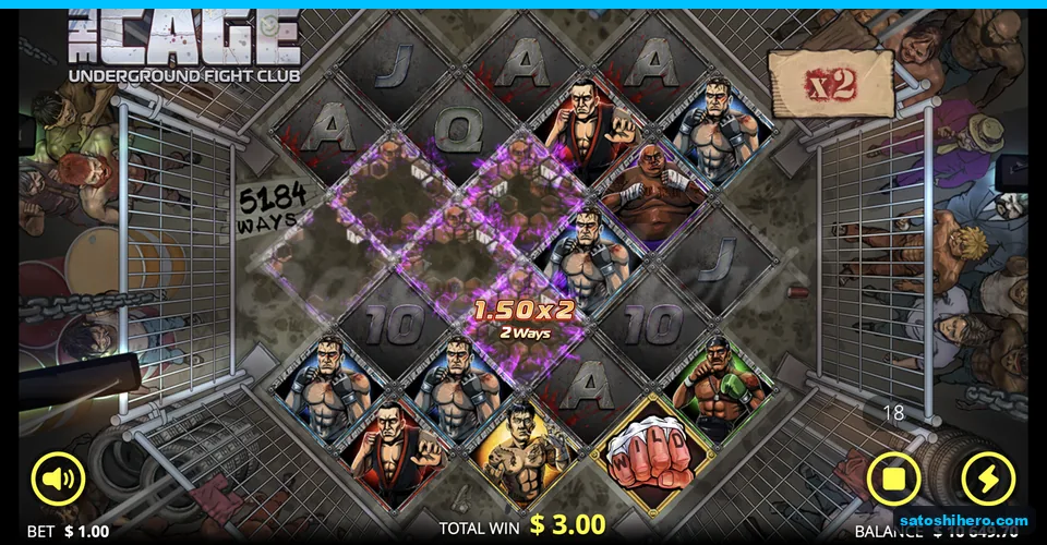Roundhouse Kick banner covers diagonal fighters