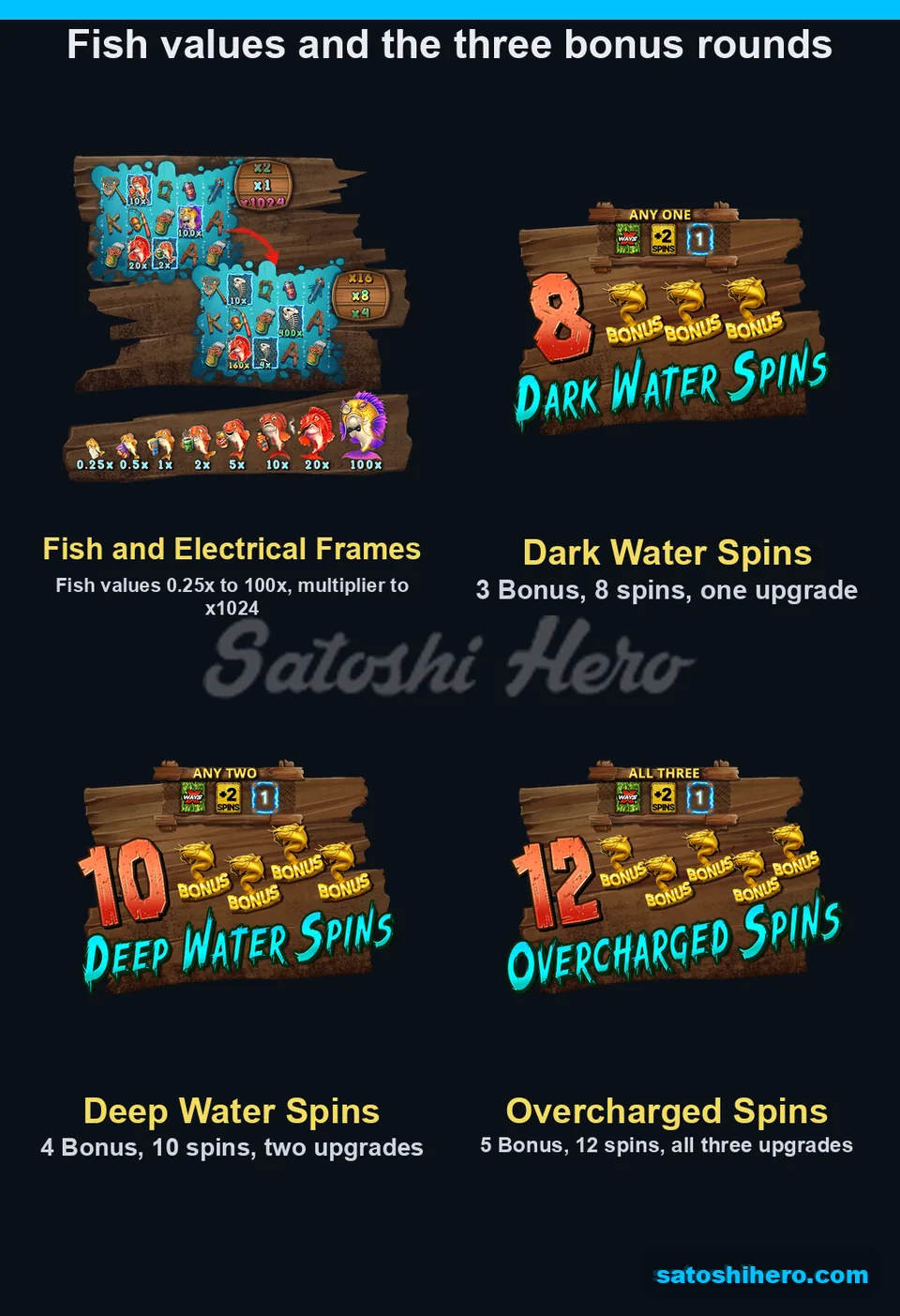 Fish value panel and bonus round cards