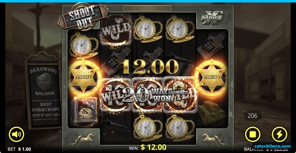 Sheriff badges frame a $12 win