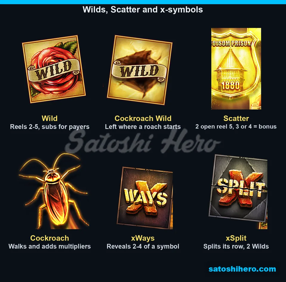 Rose Wild and badge Scatter symbols
