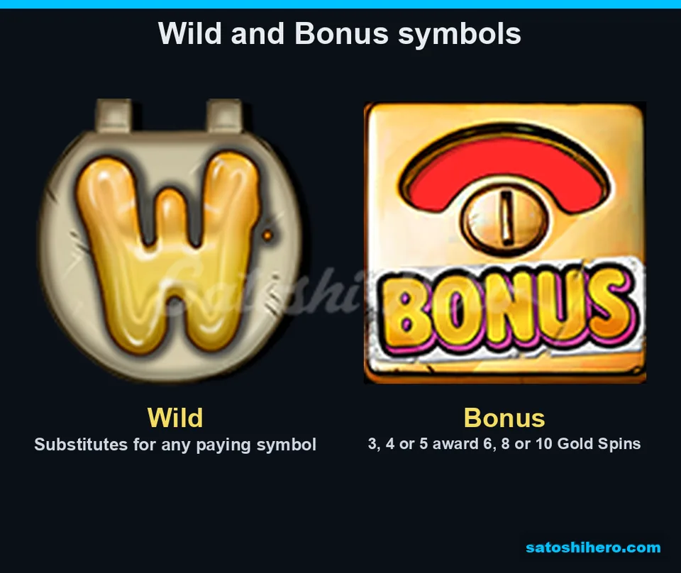 Wild and Bonus symbols shown together