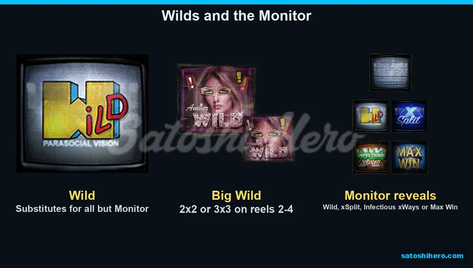 Wild symbols and Monitor reveal icons