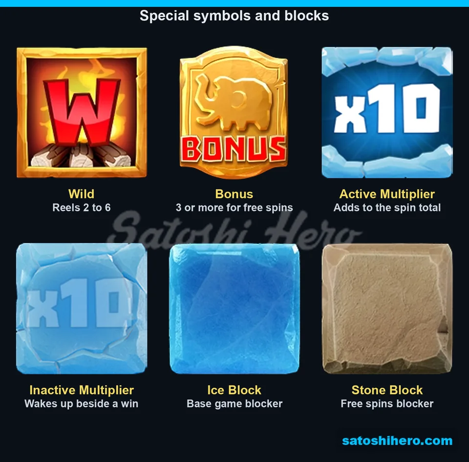 Wild, Bonus, multipliers and blocker symbols