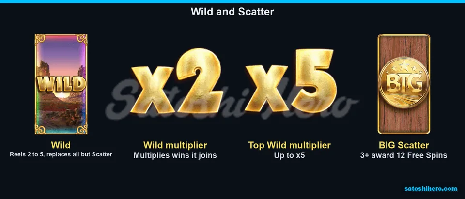 Wild multipliers and scatter coin on tiles