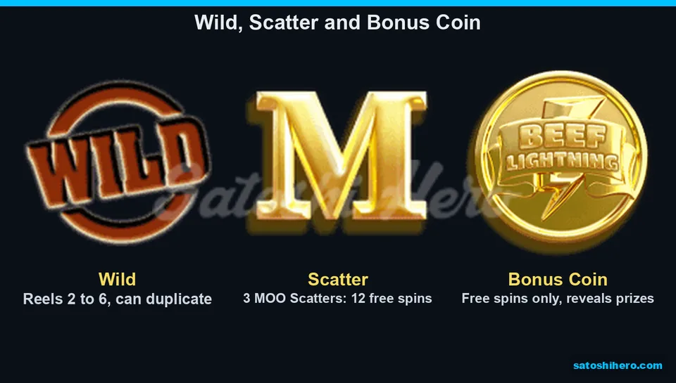 Feature symbols panel showing Wild Scatter and Coin
