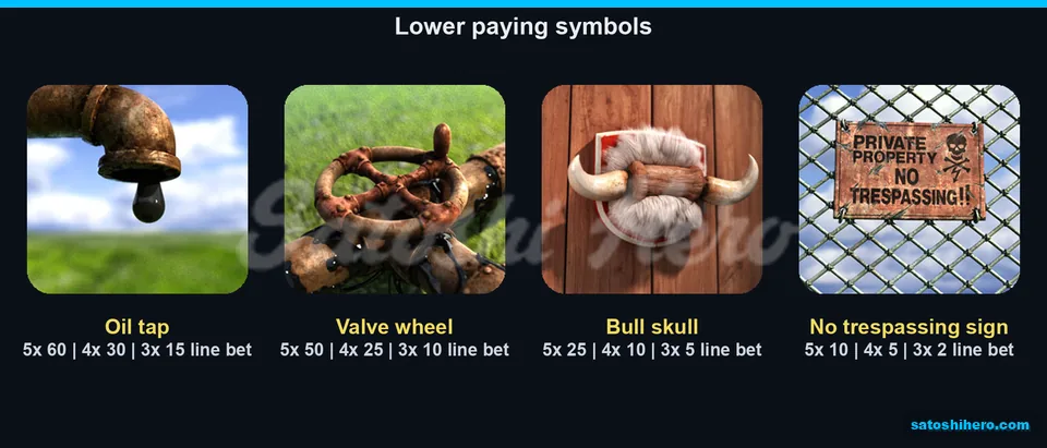60x lower symbol payout shown on paytable