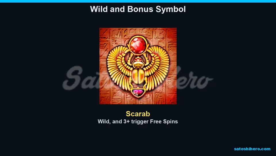 Info screen showing the scarab symbol rules