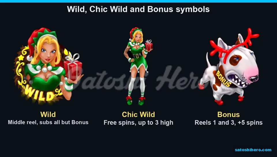 Three feature symbols shown with Wild, Chic Wild and Bonus dog