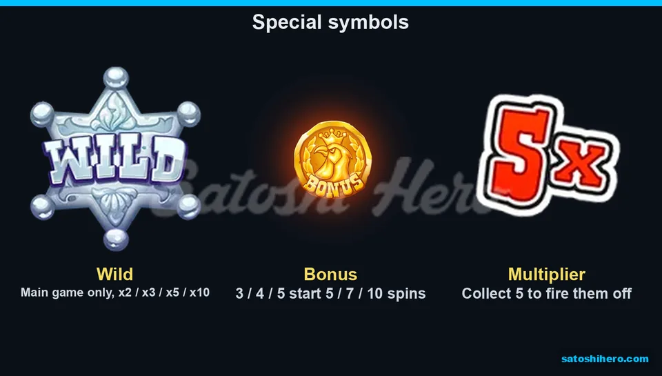 Info screen showing the Wild, Bonus coin and multiplier
