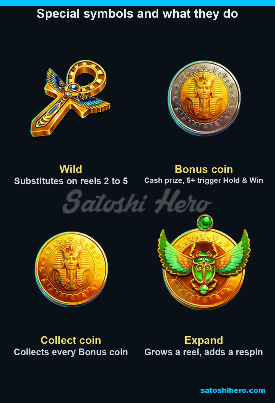 Wild Bonus Collect and Expand symbols displayed