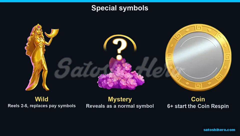 Info screen showing Wild Mystery and Coin symbols