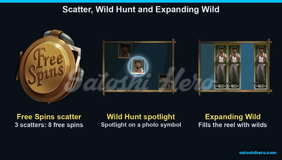 Three feature panels showing scatter, spotlight portrait and stacked Wilds