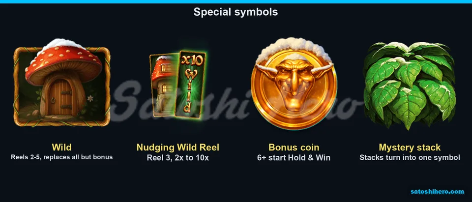 Four special symbols listed with brief roles
