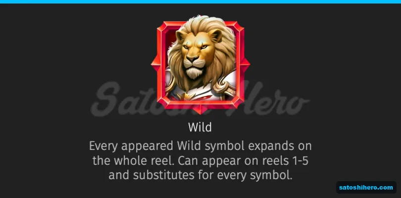 Info screen showing the wild rules