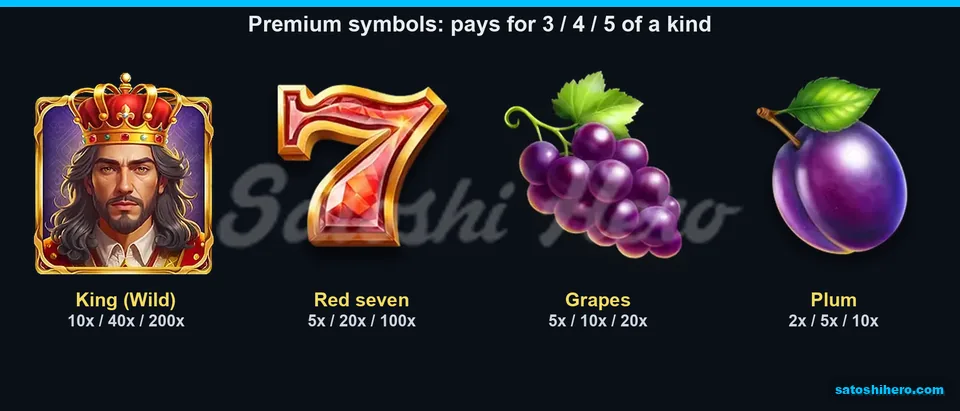 Four premium symbols with three-to-five matching payouts
