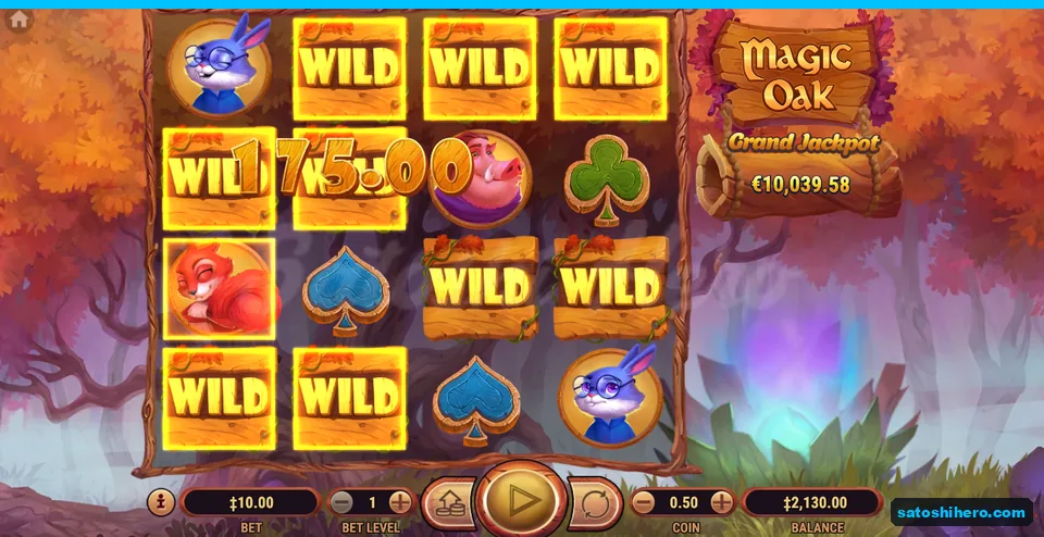 Nine Wilds lit with 175.00 group payout