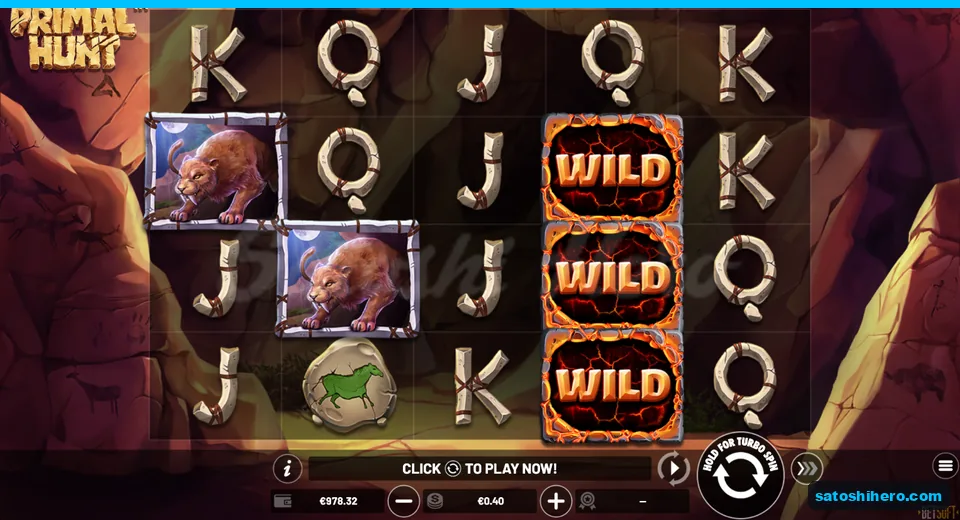 $978.32 balance below stacked wild blocks