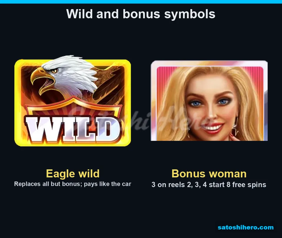 Info screen showing wild and bonus symbols